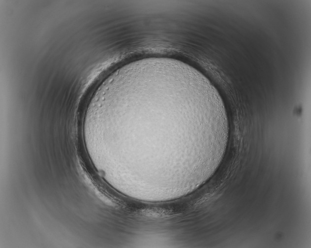 X0000116110630200912141021