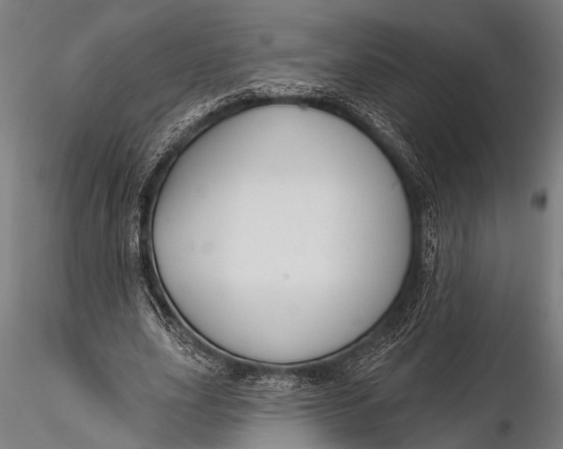 X0000116110631200912141021