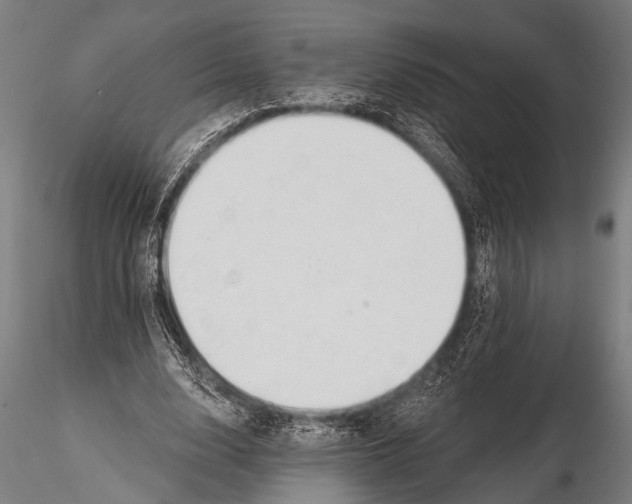 X0000116110632200912141021