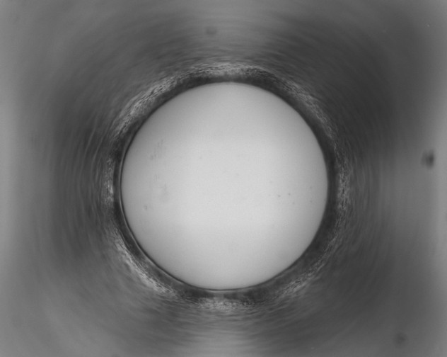 X0000116110633200912141021