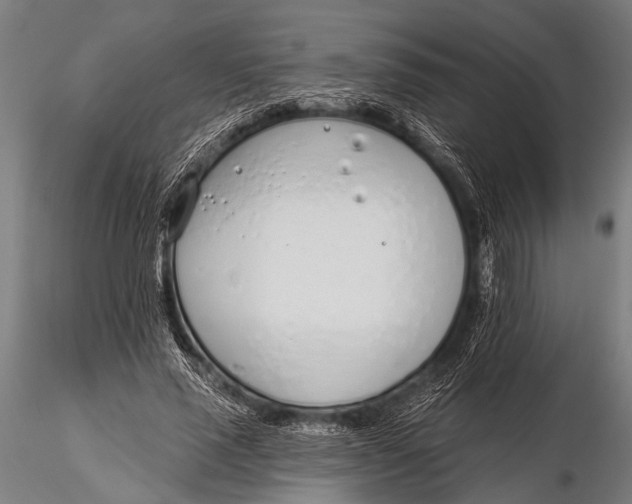 X0000116110637200912141021