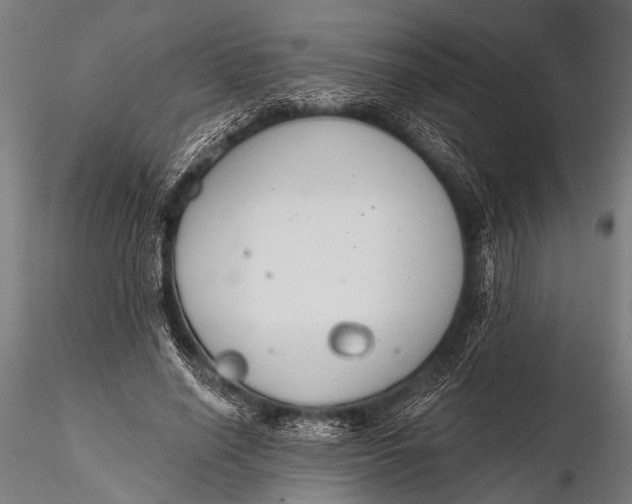 X0000116110638200912141021