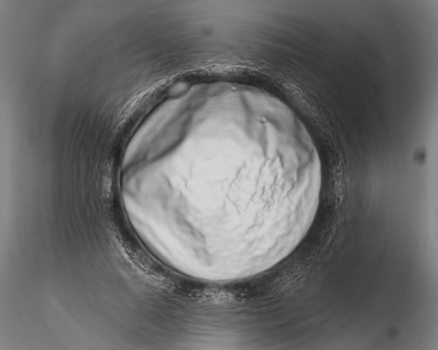 X0000116110640200912141021