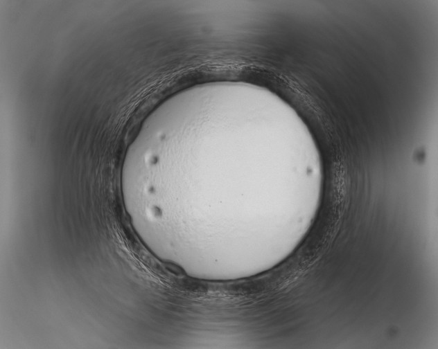 X0000116110641200912141021