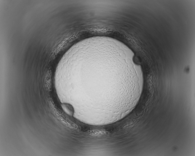 X0000116110642200912141021