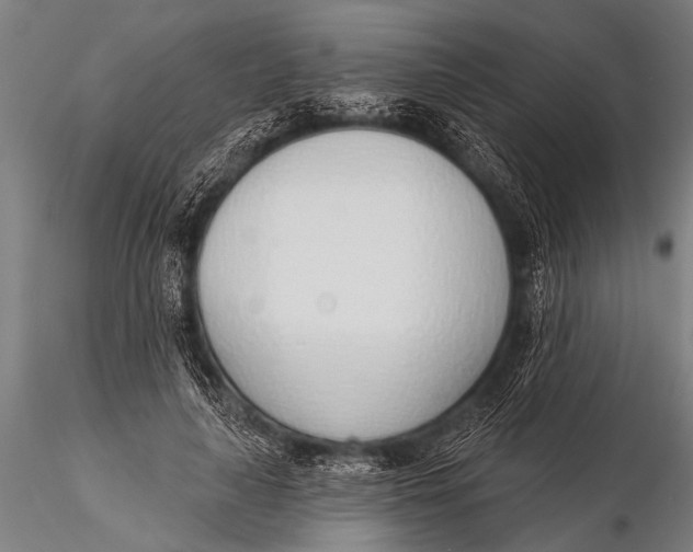 X0000116110643200912141021