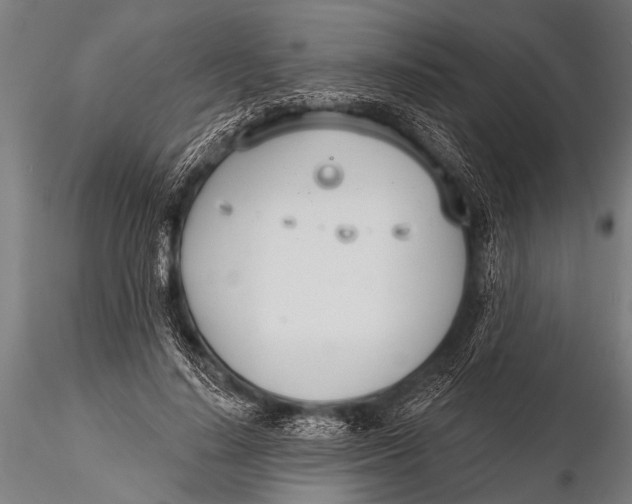 X0000116110644200912141021