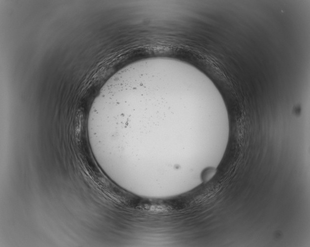 X0000116110645200912141022