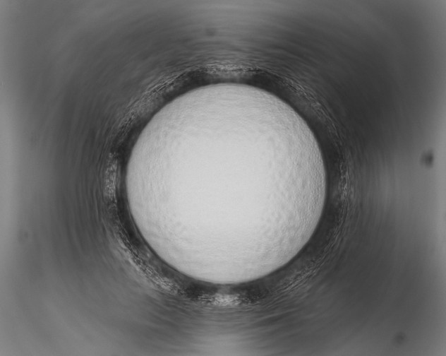 X0000116110647200912141022