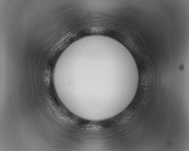 X0000116110648200912141022