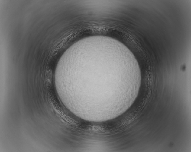 X0000116110649200912141022