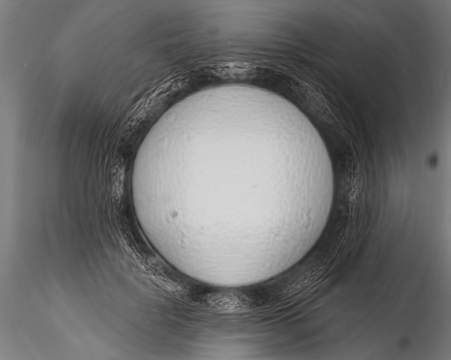 X0000116110652200912141022