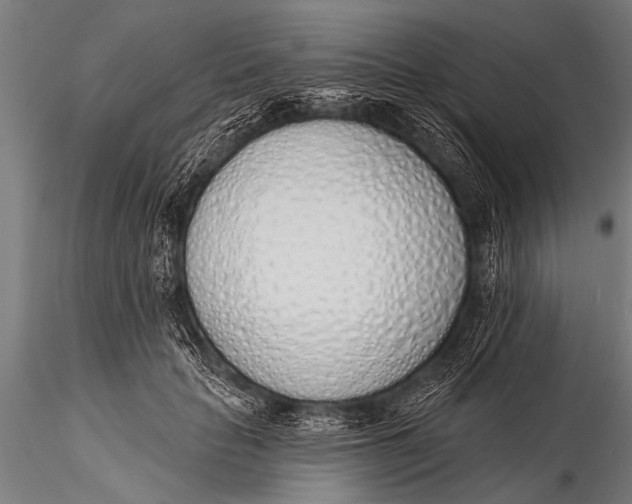 X0000116110653200912141022