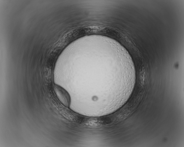 X0000116110657200912141022