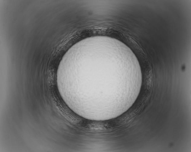 X0000116110661200912141022