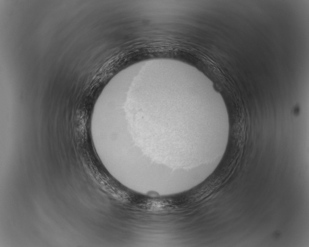 X0000116110662200912141022