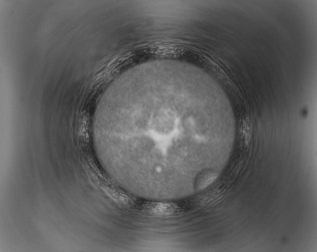 X0000116110663200912141022