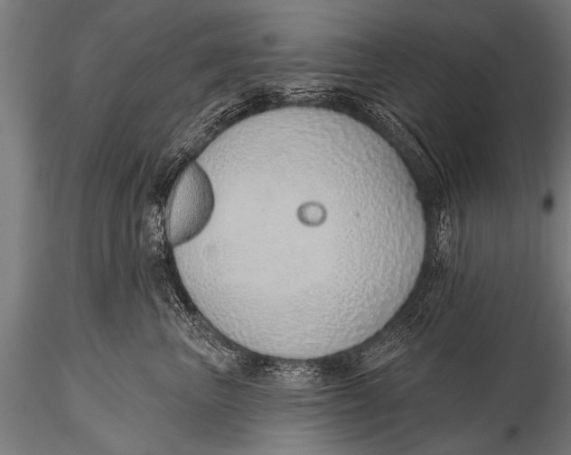 X0000116110667200912141022