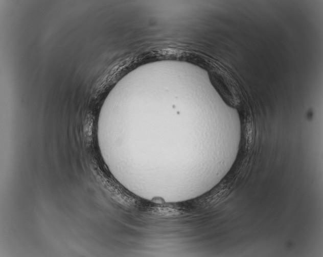 X0000116110668200912141022