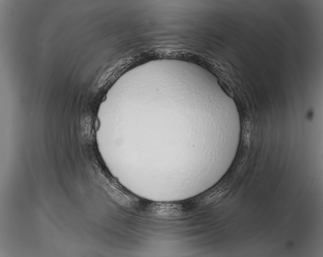 X0000116110670200912141022