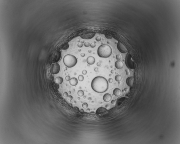 X0000116110671200912141022