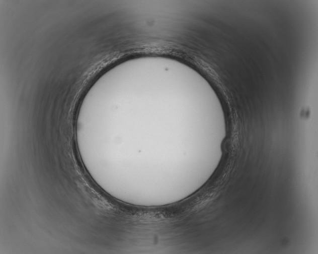 X0000116110673200912141021