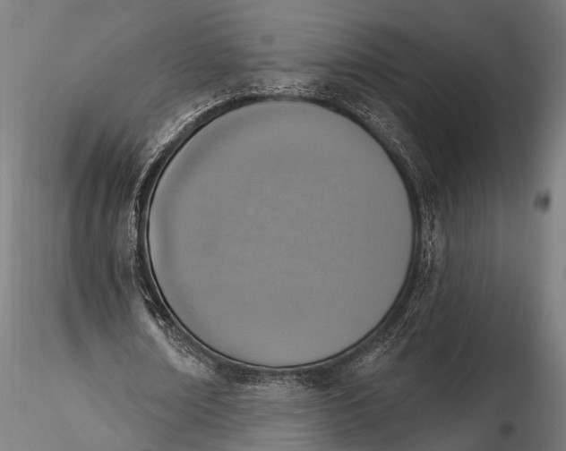 X0000116110674200912141021