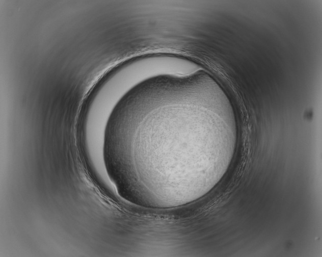 X0000116110676200912141021