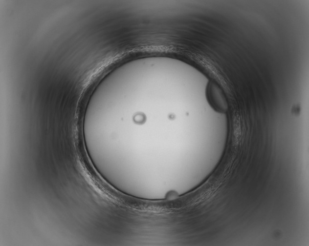 X0000116110677200912141021