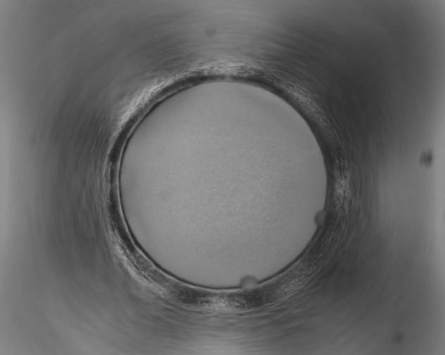 X0000116110678200912141021