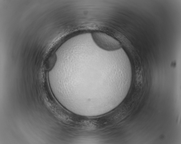 X0000116110680200912141021