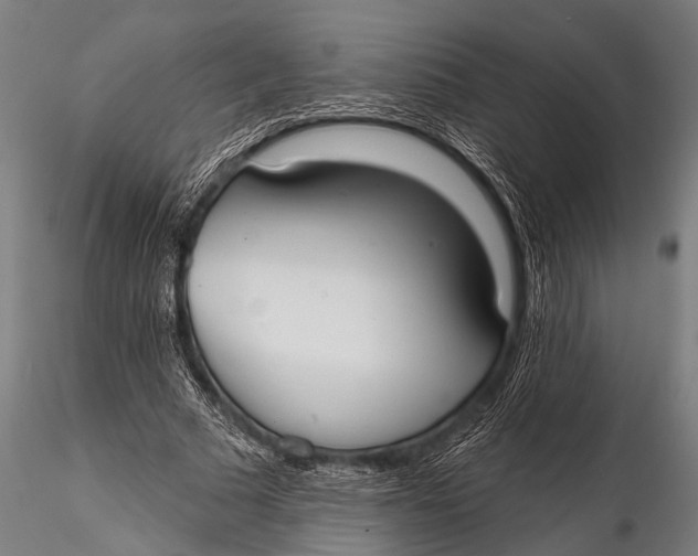 X0000116110681200912141021