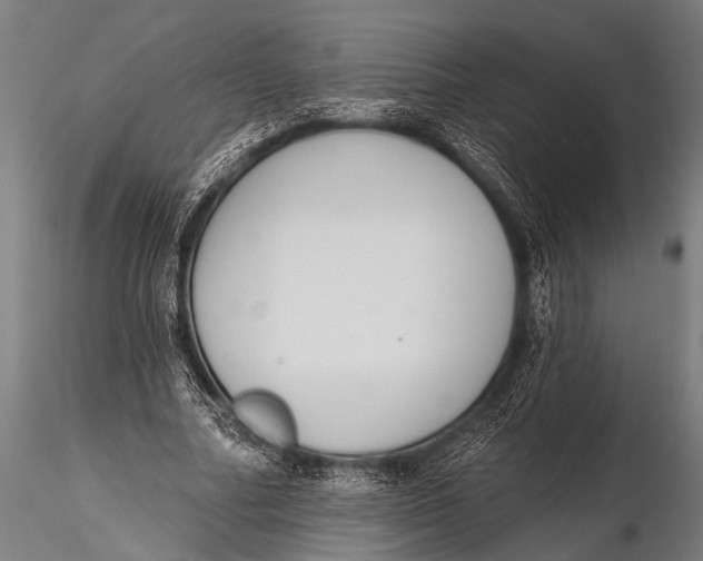 X0000116110682200912141021