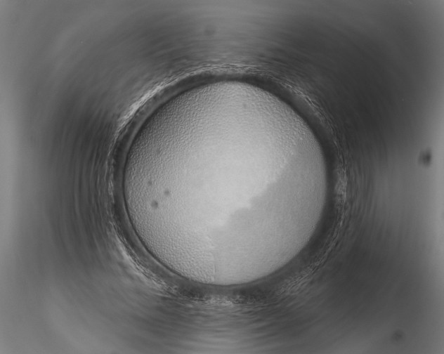 X0000116110684200912141021