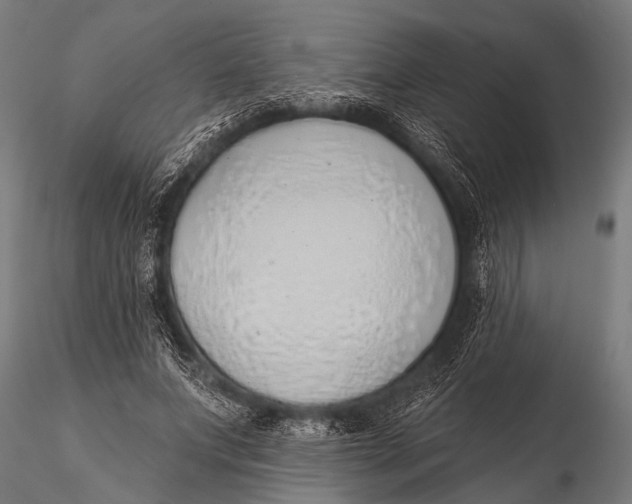 X0000116110687200912141021