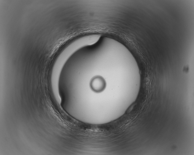 X0000116110688200912141021