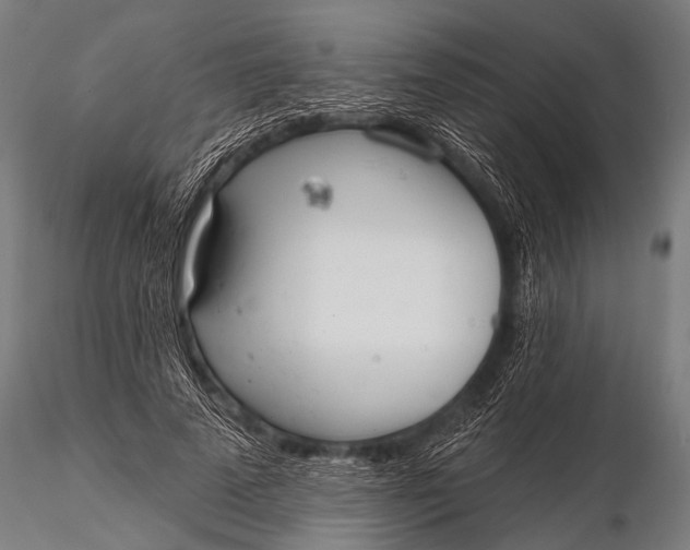 X0000116110689200912141021