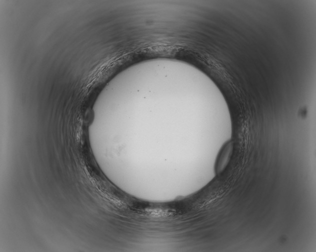 X0000116110693200912141021