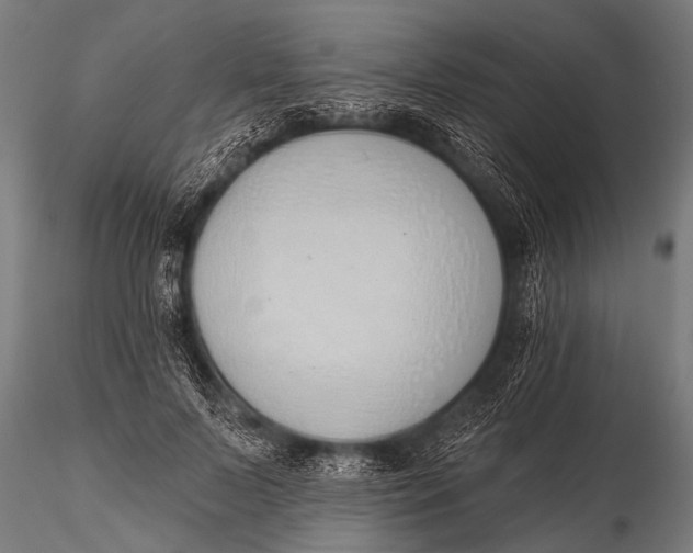 X0000116110695200912141021