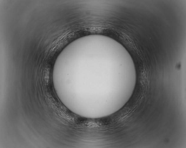 X0000116110697200912141021