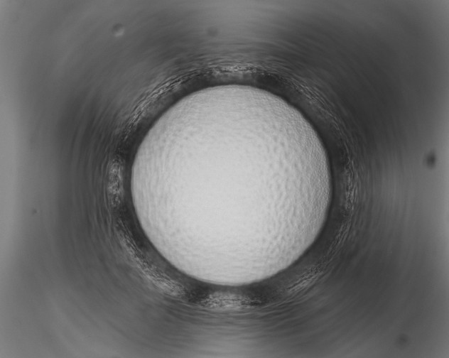 X0000116110699200912141021