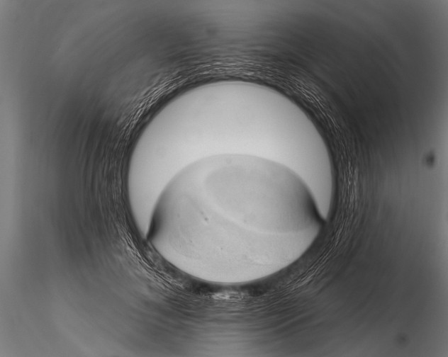 X0000116110700200912141021