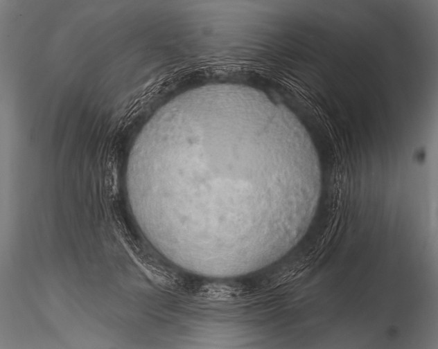 X0000116110703200912141021