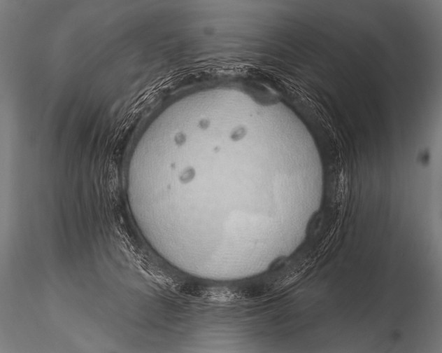 X0000116110704200912141021