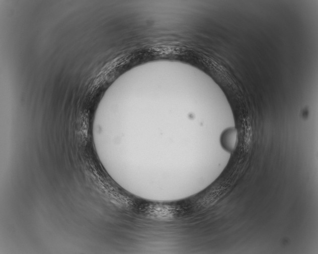 X0000116110710200912141021