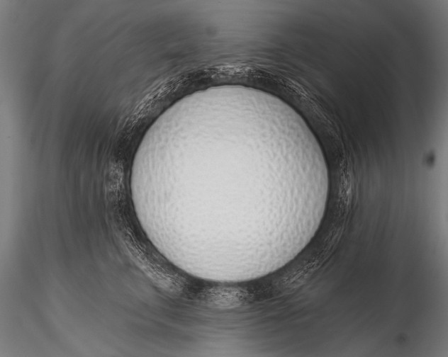 X0000116110711200912141021