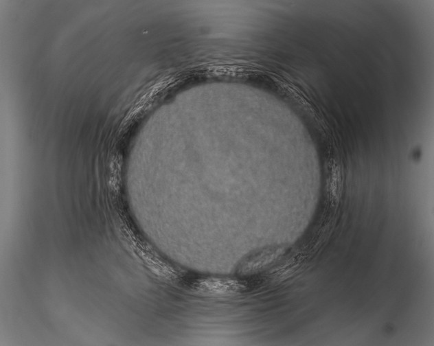 X0000116110712200912141021