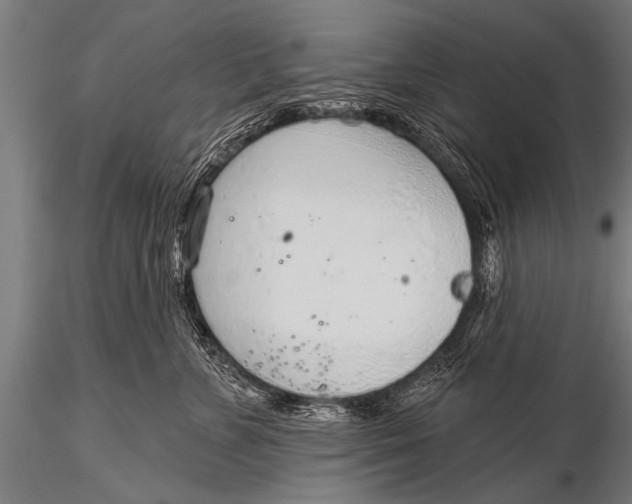 X0000116110715200912141020