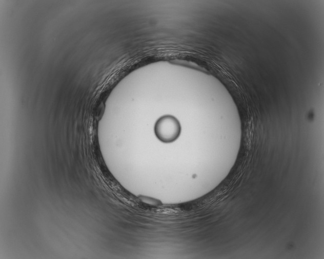 X0000116110716200912141020