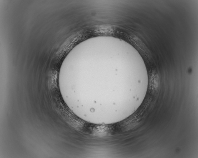 X0000116110717200912141020